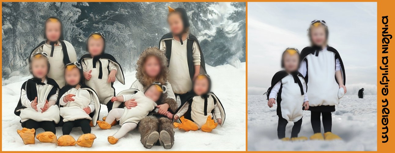 להשכרה פינגוינים.jpg