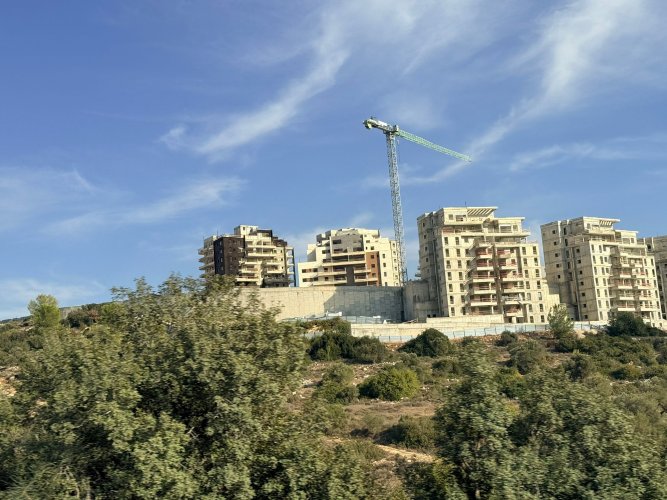 WhatsApp Image 2025-12-07 at 17.18.19.jpeg