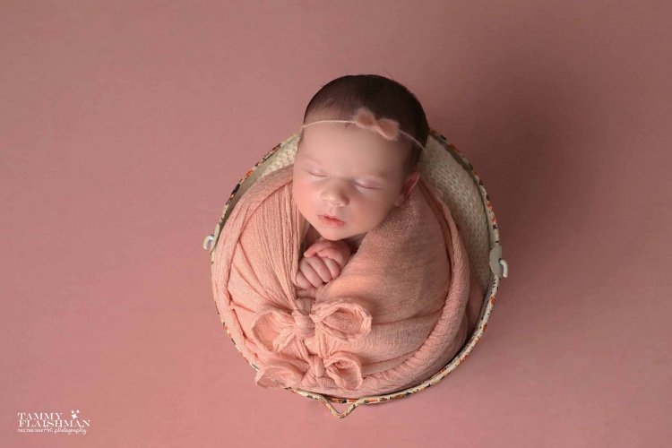 2צילום תמי פליישמן 0527681363.jpg