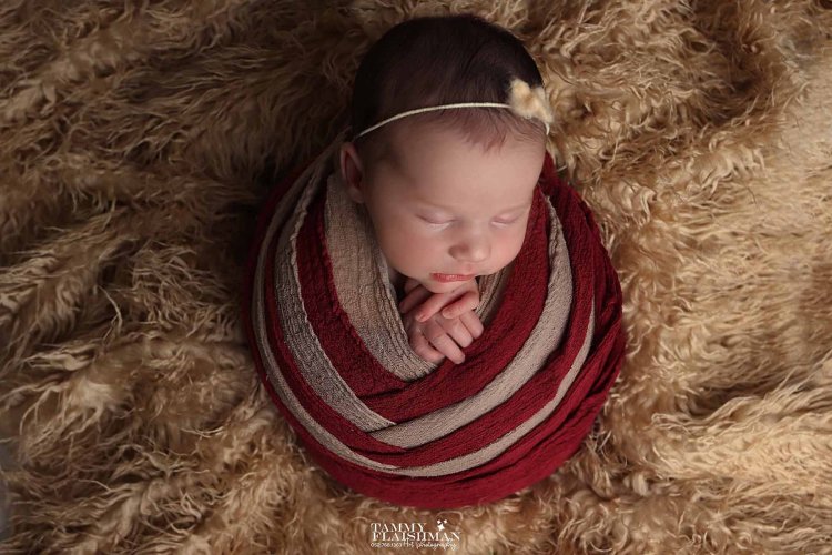 5צילום תמי פליישמן 0527681363.jpg