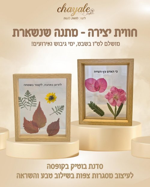 ערכת מסגרות.jpeg