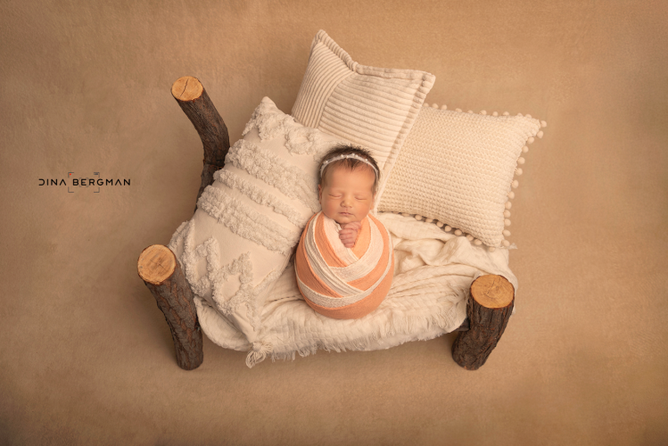 דינה ברגמן 0527615060 (17).png