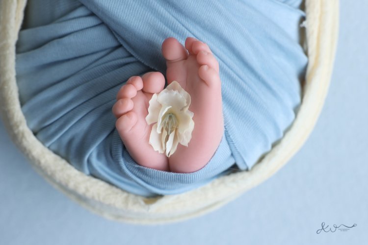 אילה וויג צלמת ניו בורן בבית הלקוח 0548524765  (12).JPG