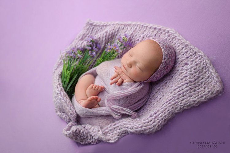 402A3282 copy 2.jpgצילום חני שרבאני 0527108106.jpg