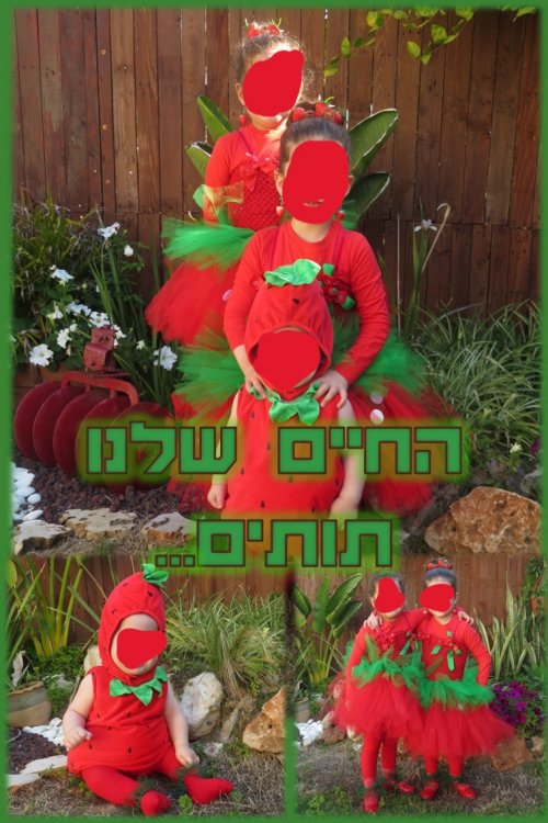 החיים   שלנו תותים.jpg