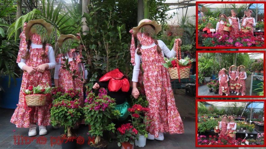 45454545455454 (1) (1).jpg