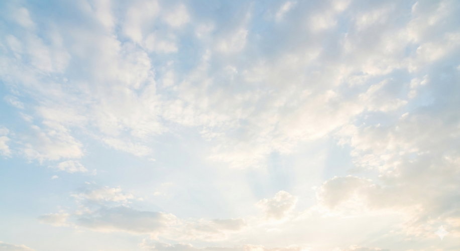 שובבי"ם - תשפ"ו