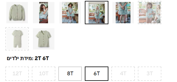 צילום מסך 2026-01-10 181026.png