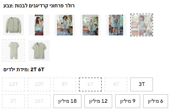 צילום מסך 2026-01-10 181047.png