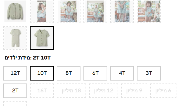 צילום מסך 2026-01-10 181106.png