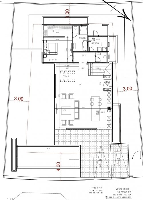 אופציה 2-בריכה בחזית.jpeg