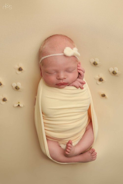 IMG_5821 copy.jpg2 copy.jpgנחמי בן שם0556706624.jpg2.jpg