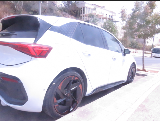 צילום מסך 2025-08-11 201833.png