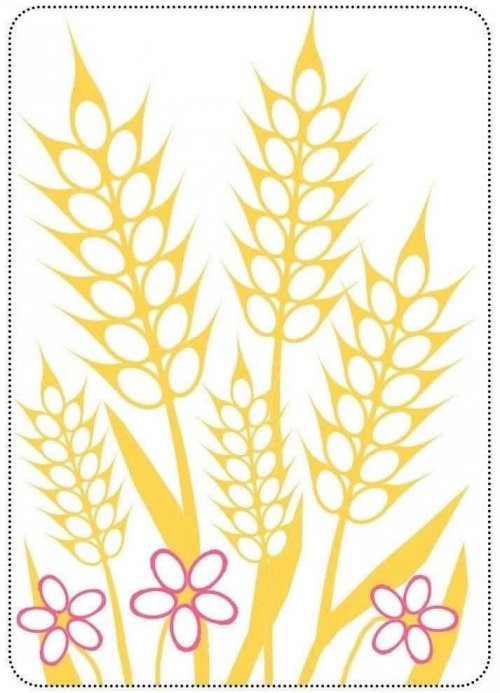 חיטה למילוי בקרפ צהוב.jpg