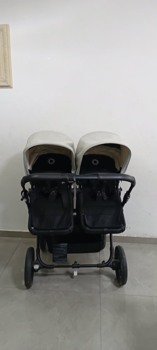 בוגבו דונקי 5 תאומים ואחים