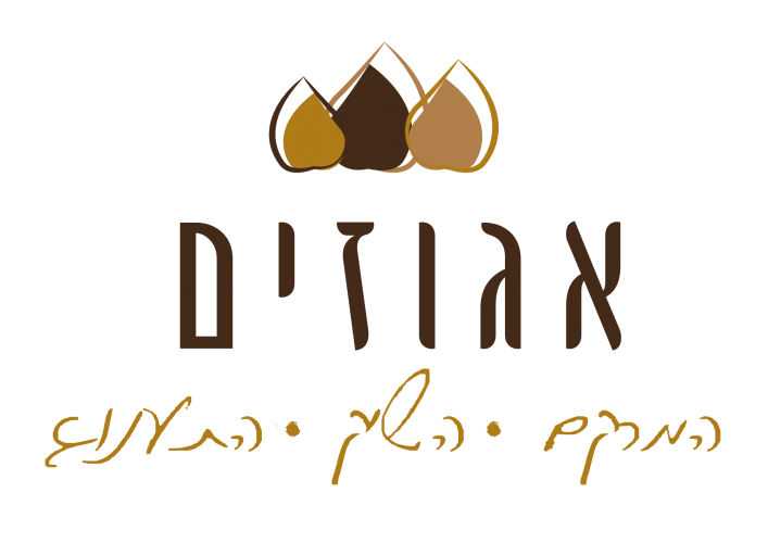 לוגו שקוף.png