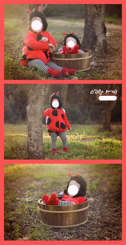 חיפושיות למכירה.jpg