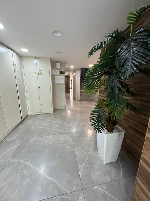 WhatsApp Image 2025-04-27 at 15.16.30.jpeg