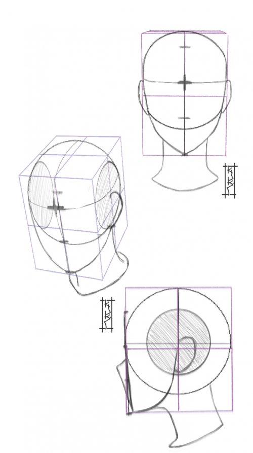 איך לצייר ראש- חלק 4.jpg