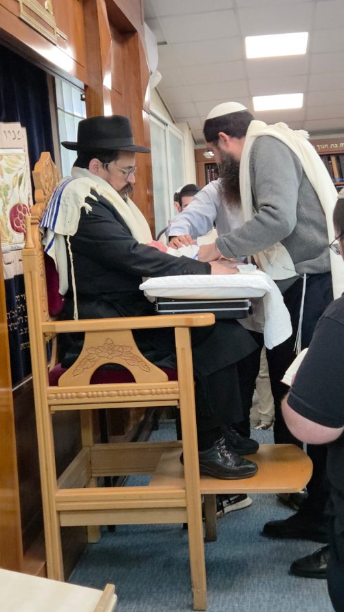 אשרי תבחר ותקרב: ברית המילה של בן הניצולה הביא לסיומה הטוב של פרשה מטלטלת