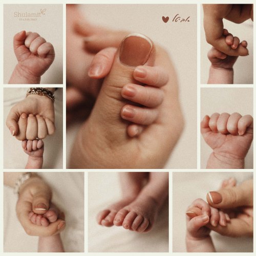 מאקרו אביטל איכות לצפיה 0548483863.jpg