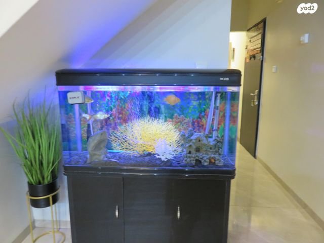 למכירה  אקווריום יוקרתי במצב חדש!