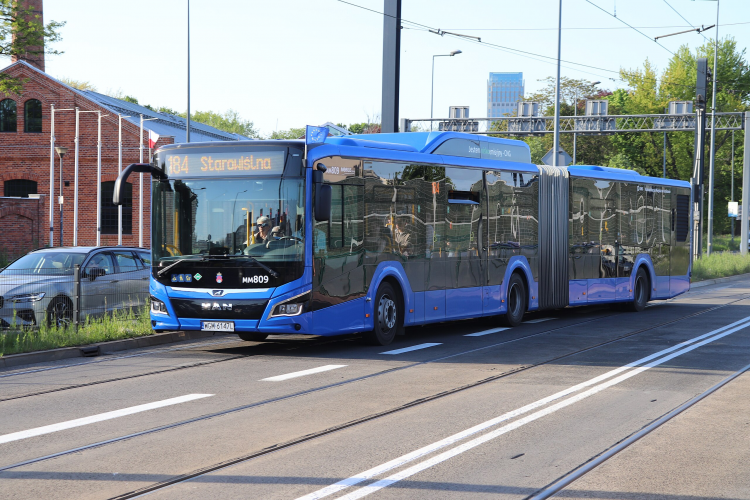 אגד זה כבר לא ירוק: למה זורקים מיתוג של 25 שנה לפח?