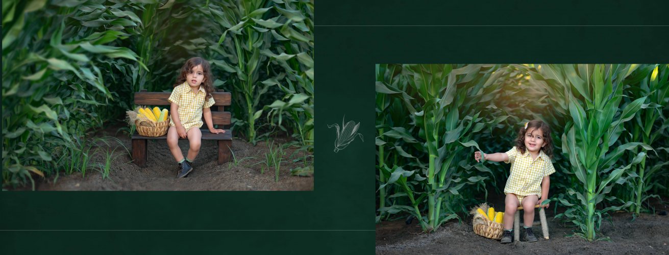 שרוליק למייל 0527695445 (32).jpg