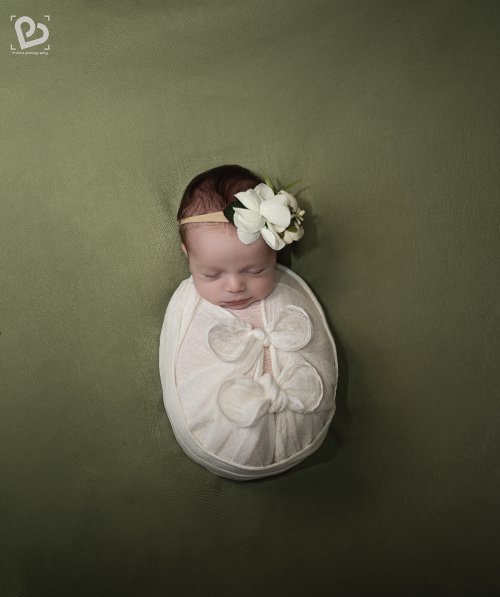 ירוק בורדו.jpg