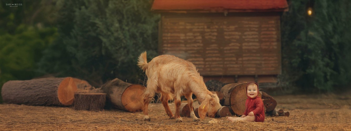 מפעל הפורמטיםאליש שנה14 copy מוק.jpg