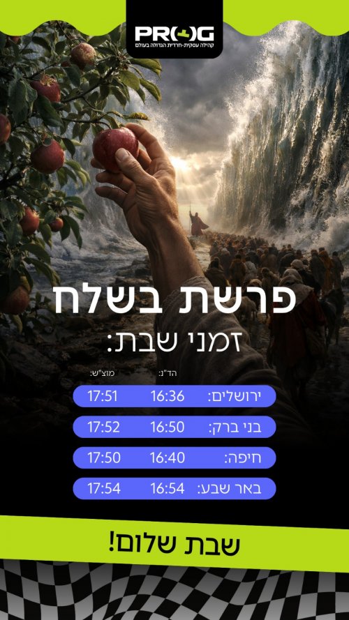 בשלח.jpeg