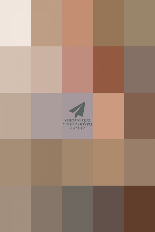 ChatGPT Image Feb 1, 2026, 05_02_10 PM.jpg