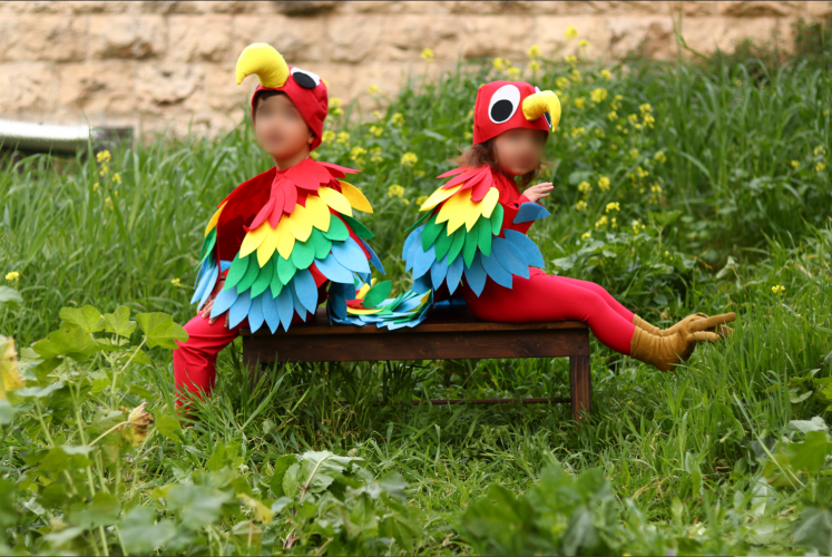 צילום מסך 2025-02-17 100159.png