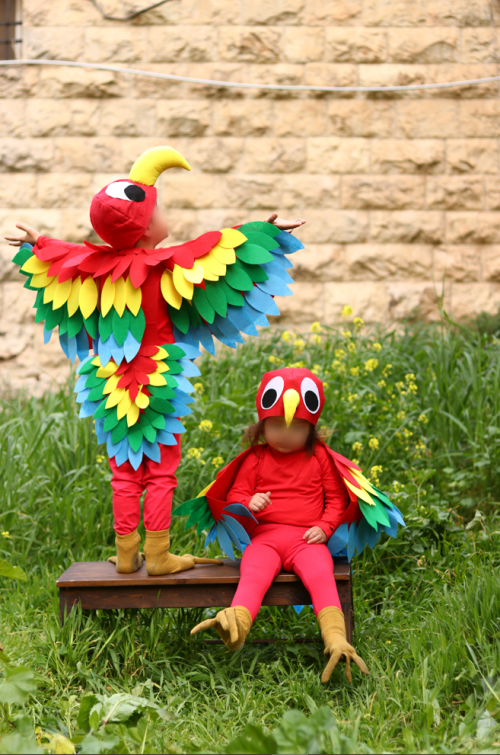 צילום מסך 2025-02-17 100213.png