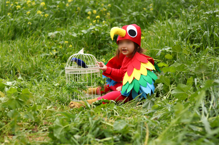 צילום מסך 2025-02-17 100455.png