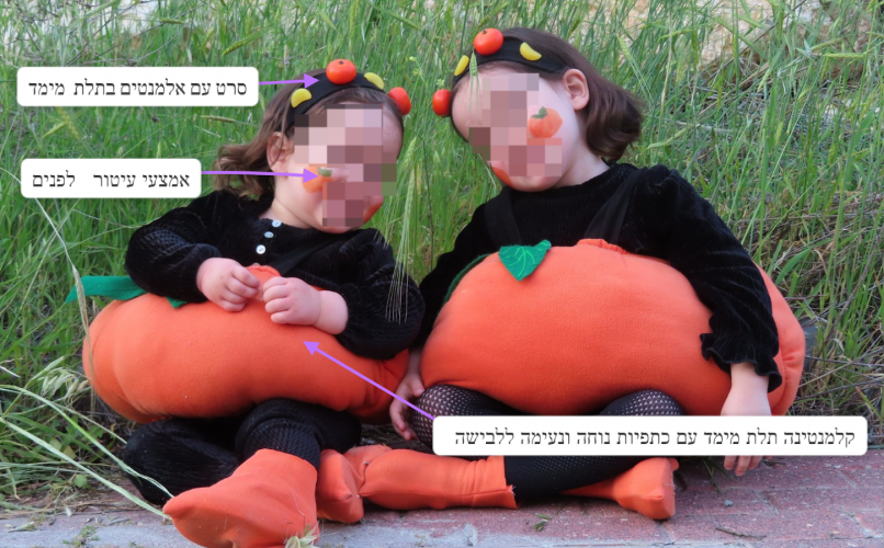 תמונה 1.png