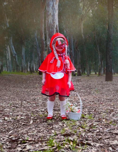 כיפה אדומה.jpg