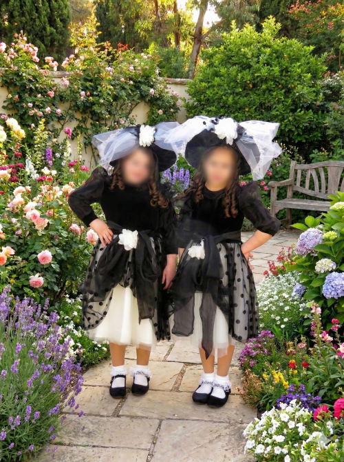 חרסינה מטושטש.png