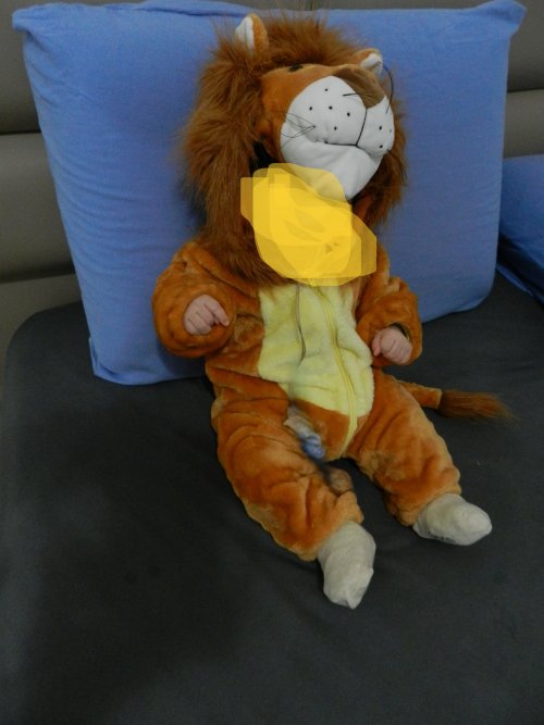 תחפושת אריה.JPG