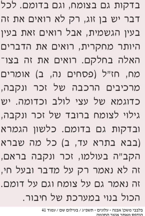 בלבבי משכן אבנה.png