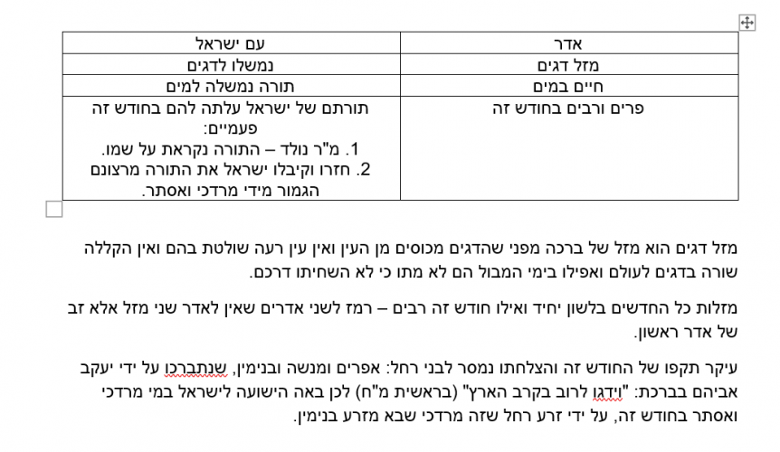 צילום מסך 2026-02-08 100155.png