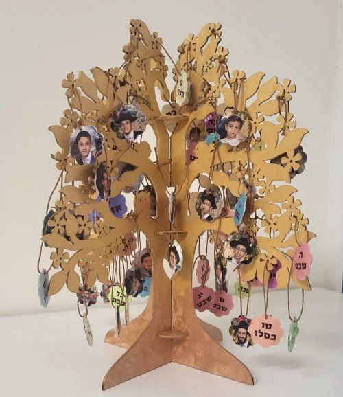 עץ שורשים.jpeg