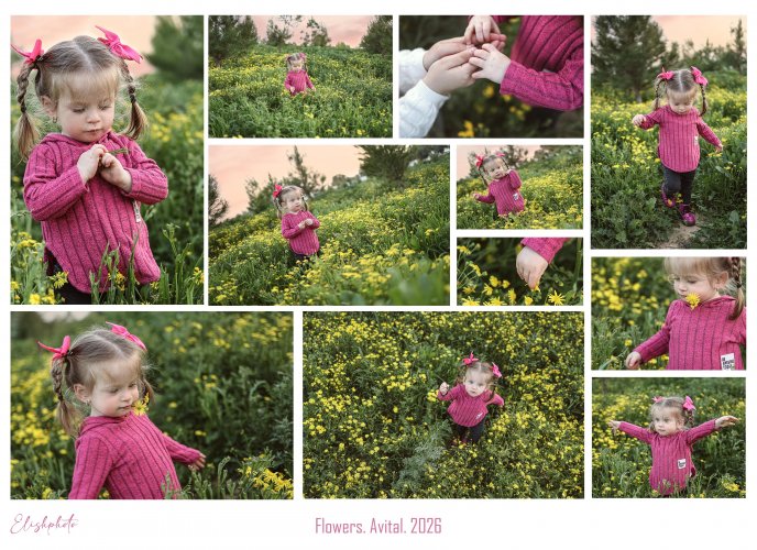 קואלז פרחים למייל.jpg