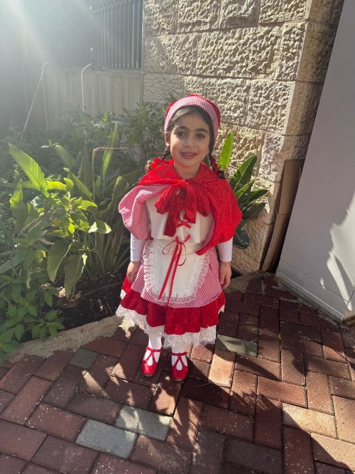 השכרת / מכירת תחפושות