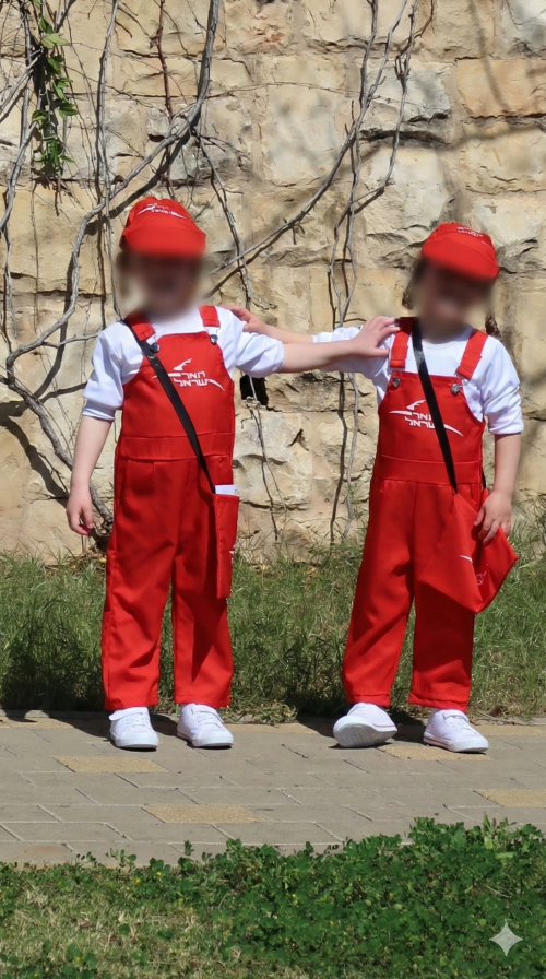 דוורים מטושטש.png