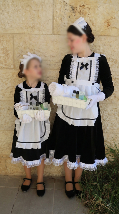 חדרניות מטושטש.png