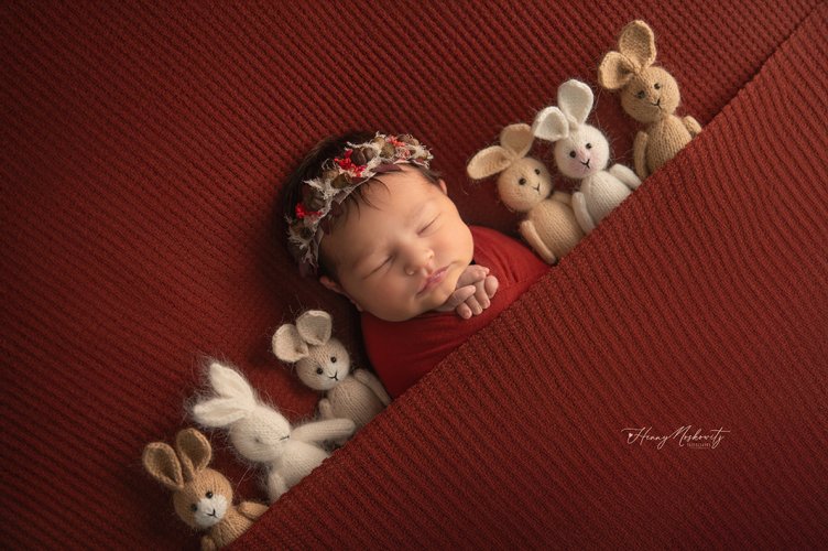 DSC_7922-Recovered copy.jpg