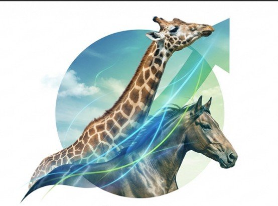 הסוס והג'ירף - למי מהם מקשיבים יותר?