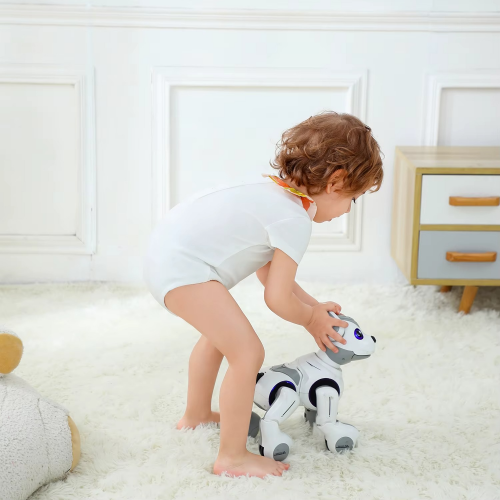 S4ab47d86f8ca4d8d8f19cd37fdcc72f0t (1).png