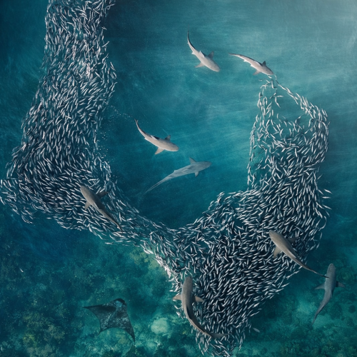 ChatGPT Image Feb 14, 2026, 09_54_50 PM.png